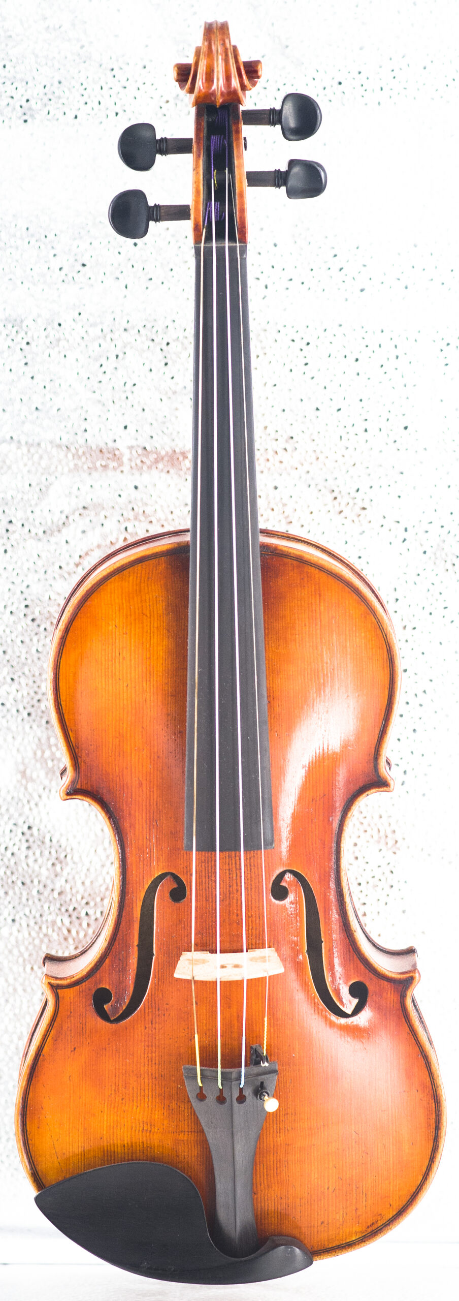 Albani Violin Outfit - Image 2