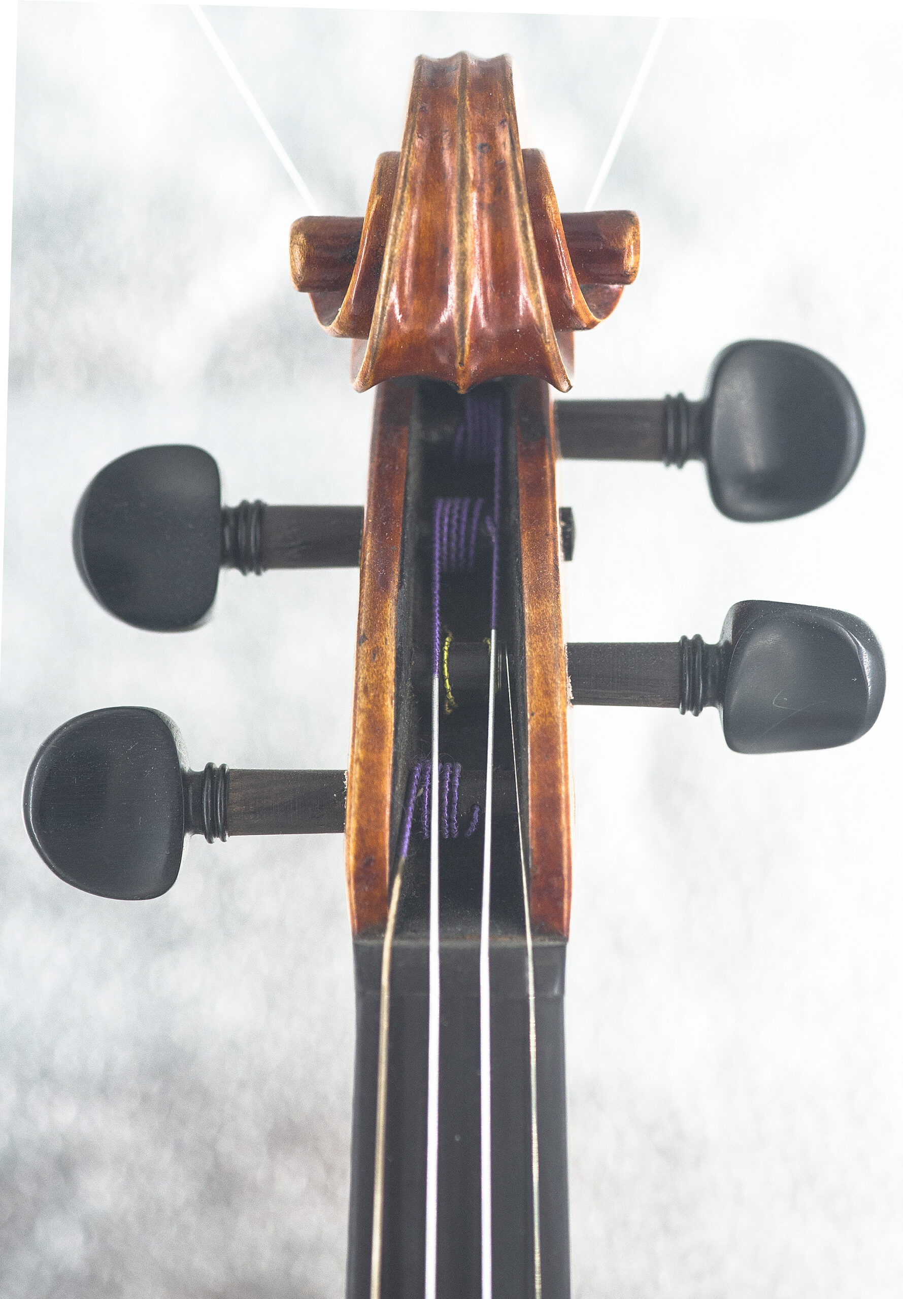 Albani Violin Outfit - Image 4