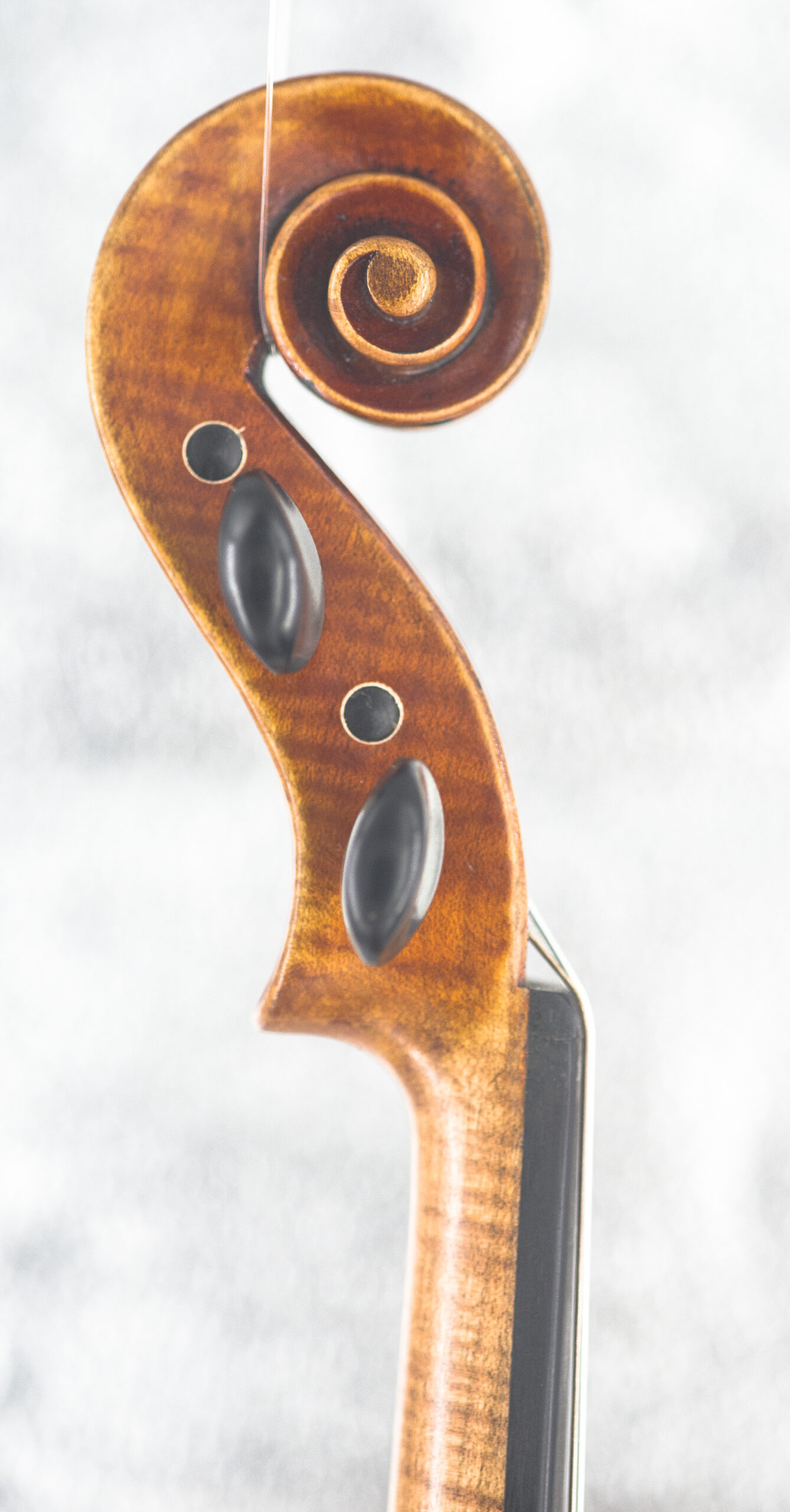 Albani Violin Outfit - Image 5