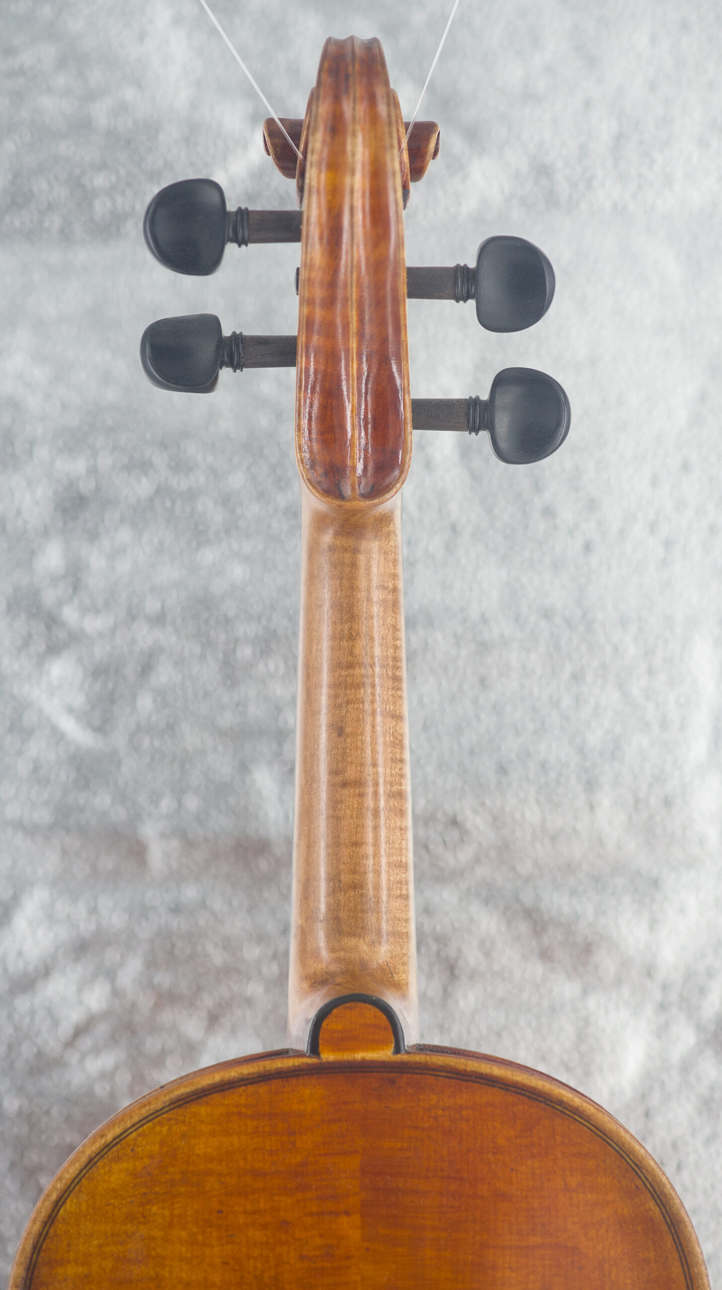 Albani Violin Outfit - Image 6
